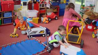 Male and Female Behavior Biologically Determined