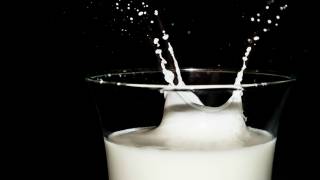 Metapolitical Milk